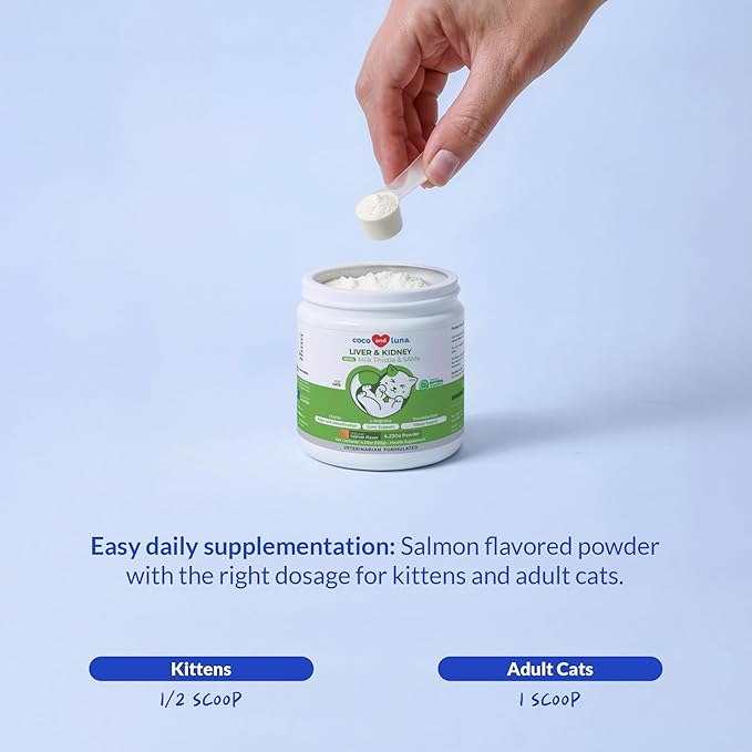 Milk Thistle for Cats - Liver and Kidney Support - Hepatic Support with EPA &amp DHA - Detox - Liver Supplement with Choline and L-Arginine (Powder for Cats)