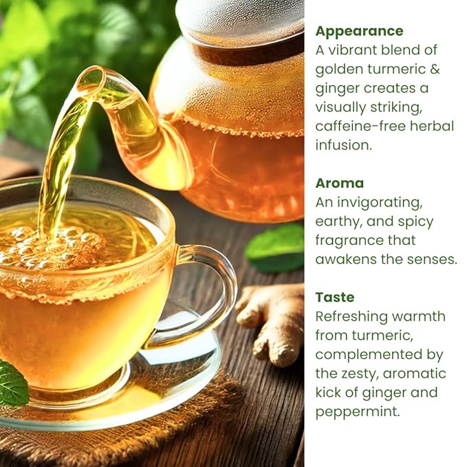 (60 Bags/120 Cups) Rachel’s Tea: Turmeric Wild Yam Ginger Marshmallow Chamomile Peppermint Fennel Slippery Elm