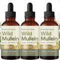 Wild Mullein Leaf ExtractGinger &amp Lemon for Lung Cleanse Vegan Non-GMO (3 Bottle)