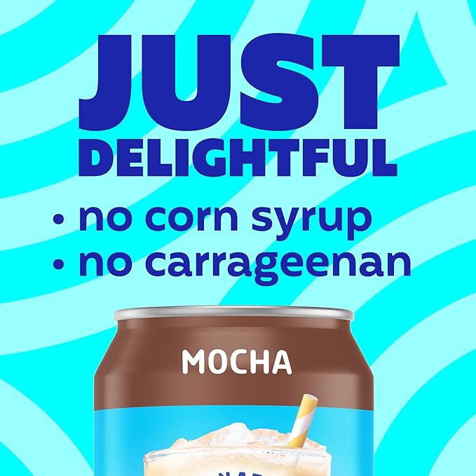 International Delight Iced Coffee Mocha Grab and Go Coffee Drinks Made with Real Milk and Cream 15 FL OZ Can 12 Count
