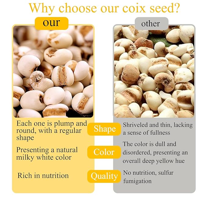 Job's Tears Coix Seed Jobs Tears Seeds 薏米 薏苡仁 Natural Pearl Barley Coix Rice Health Grain No addition Sulfur Free 12.34oz/350g