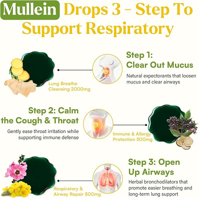 Mullein Drops For Lungs Liposomal 14 In 1 Mullein Leaf Extract For Lungs Mullein Drops with Elderberry Chlorophyll Thyme - for Lung Cleanse Detox Respiratory Immune Health 3 Fl 0Z Mint Flavor