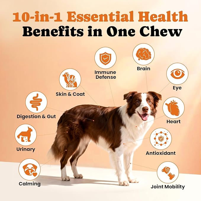 Dog Skin &amp Daily Wellness Support Bundle – Collagen Liquid Drops with Multivitamin Chews for Overall Health