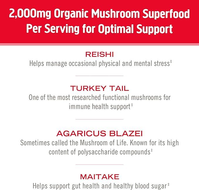 OM MUSHROOM SUPERFOOD Immune Blend Mushroom Powder Superfood Supplement 7.05 Ounce Pouch 100 Servings Mushroom Blend Reishi &amp Turkey Tail Daily Immune Support Supplement