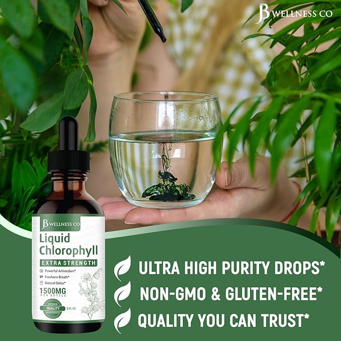 [2-Pack] Liquid Chlorophyll Drops - All-Natural Concentrate – Immune System Support Energy Booster and Digestion – from Mulberry Leaves - 240 Servings - [2-Pack]