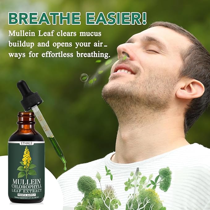ETHALE Mullein Drops for Lungs Mullein + Chlorophyll Lung Drops Mullein Leaf Extract with ChlorophyllMullein Leaf Extract for Lung Cleanse and Respiratory Support (2)
