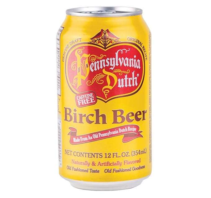 AmishTastes PA Dutch Birch Beer Protected With High-Density Foam 12 Oz. (Case of 24)