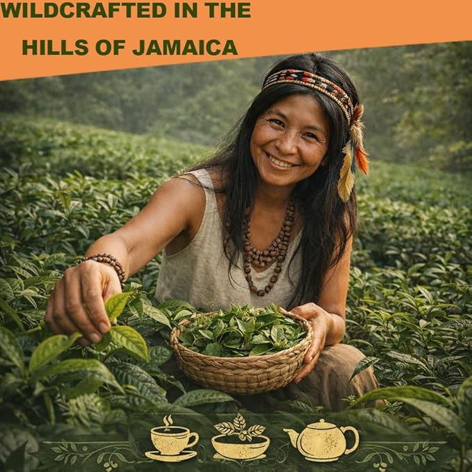 Jamaican Healing Garden Blood Detox Tea – 100% Wildcrafted Herbs for | Hand-Picked 4.33 oz (120g)