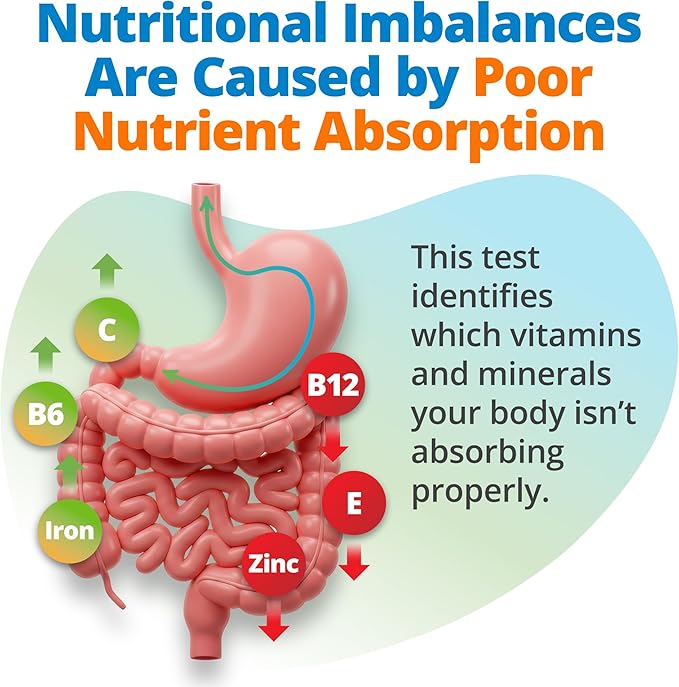 5Strands Nutrition Test 112 Vitamins Minerals Amino Acids Tested Identify Nutrient Absorption Issues Holistic at Home Imbalance Testing Results in 4 Days