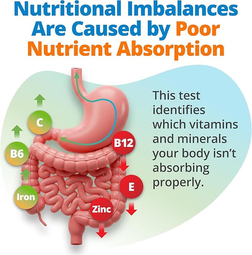 5Strands Nutrition Test 112 Vitamins Minerals Amino Acids Tested Identify Nutrient Absorption Issues Holistic at Home Imbalance Testing Results in 4 Days