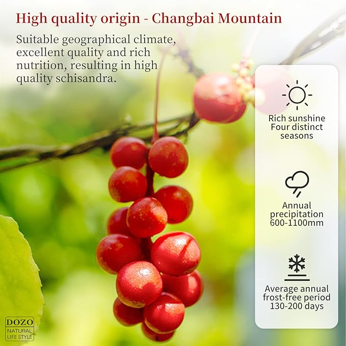 DOZO Dried Schisandra Berry 7.76oz/220g Schisandra Chinensis Tea Dried Omija Tea Whole Berries Dried Loose Berry Herbs Pure Natural Wu Wei Zi Caffeine Free 五味子