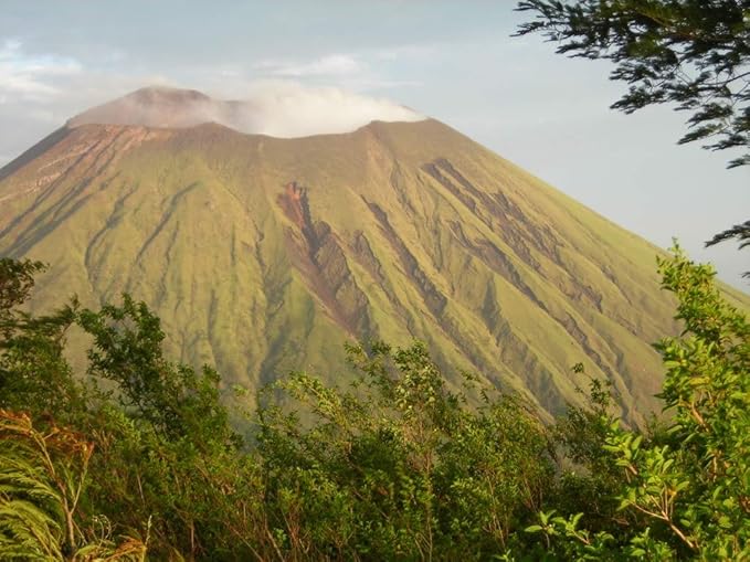 Nica's Coffee Organic - Dark Roast - 340 gr Ground - from San Cristobal Volcanoe Area in Nicaragua