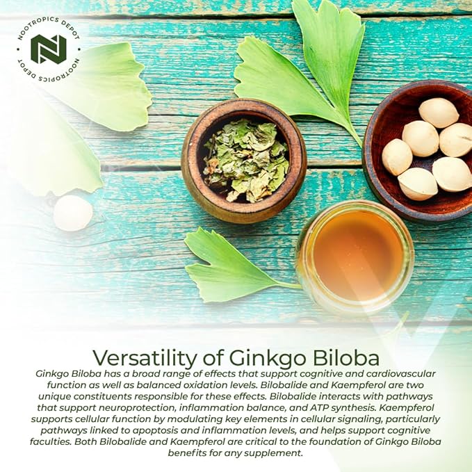 Nootropics Depot Ginkgo Biloba Extract Tablets | 120mg | 90 Count | Minimum 10% Kaempferol Glycoside + 2% Bilobalide | May Help Promote Cognitive &amp Cardiovascular Function