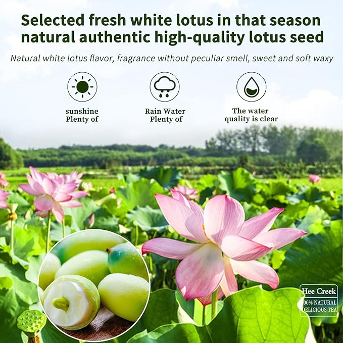 Hee Creek Premium Dried Lotus Seeds 14.1oz/400g White Lotus Seed without Cores Cooking Porridge and Soup Raw Materials 莲子 通芯白莲子 煮粥 银耳莲子羹原料