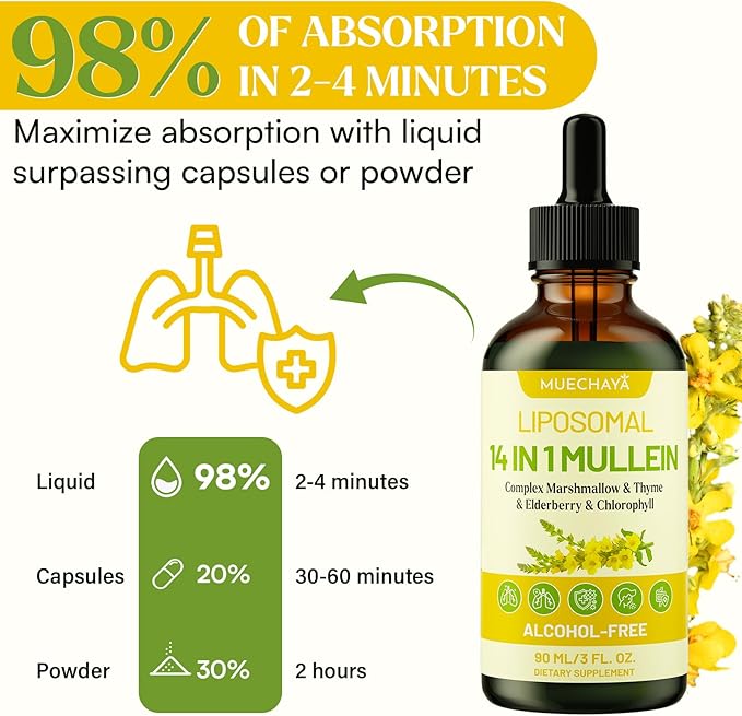 Mullein Drops For Lungs Liposomal 14 In 1 Mullein Leaf Extract For Lungs Mullein Drops with Elderberry Chlorophyll Thyme - for Lung Cleanse Detox Respiratory Immune Health 3 Fl 0Z Mint Flavor