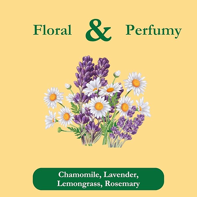 Tadin Organic Chamomile Lavender Tea Caffeine Free Herbal Tea to Promote Serenity 20 Tea Bags Per Box Pack of 6