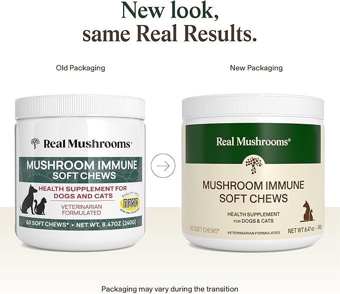 Real Mushroom Immune Pet Chews – For Daily Digestive &amp Immune Health – Mushrooms for Dogs &amp Cats Functional Treat – Mushroom Supplement for Dogs &amp Cats – 1 to 4 Chews For All Breeds &amp