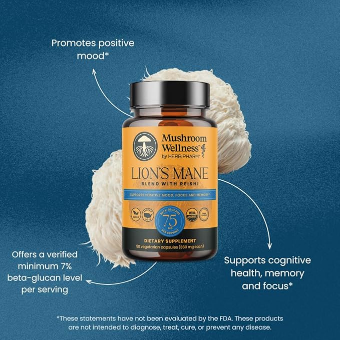 Mushroom Wellness Lion’s Mane Blend with Reishi: Organic Lion's Mane &amp Reishi Mushroom Capsules Mushroom Powder Supplement Supports Cognitive Health Memory and Mental Focus 90 Vegan Capsules