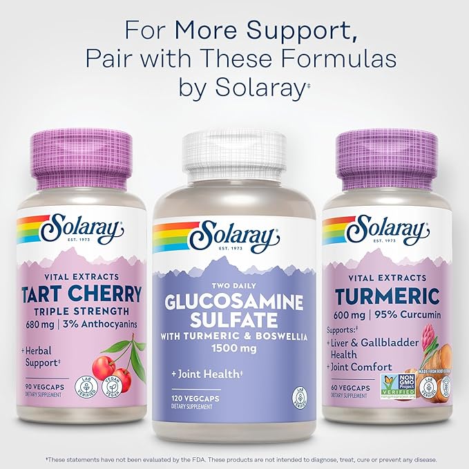 SOLARAY Turmeric Supplement 600mg - Turmeric Root with 95% Curcumin - Joint Support Supplement - Joint Health Gallbladder and Liver Support Non-GMO Vegan Gluten Free 60-Day Guarantee 60 Servings