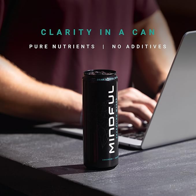 Mindful Sparkling Water by Shawn Ryan Carbonated Water and Celtic Salt Sugar Free Beverage with Natural Electrolytes Zero Calories Clean Hydration No Sweeteners Unflavored 12 FL OZ (12 Pack)
