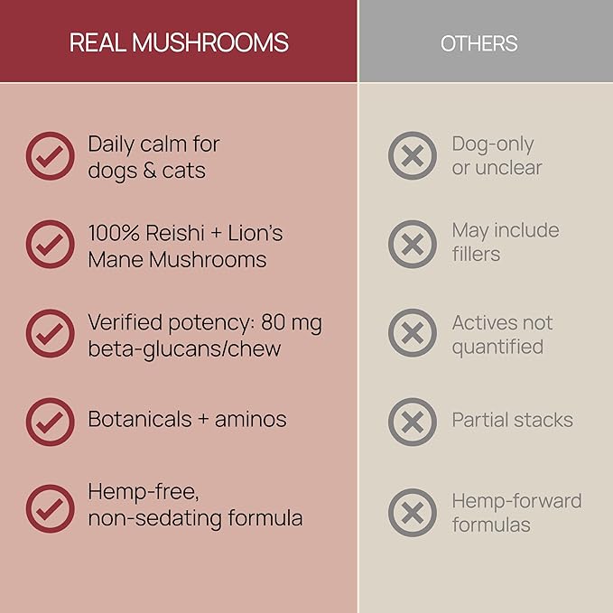 Calming Chews for Dogs &amp Cats – Soft Chews with Reishi &amp Lion’s Mane for Daily Composure – for All Breeds &amp Sizes – Calming Treats for Dogs: 1 Chew/20 lb Daily Cats: ¼ Chew Twice Daily –