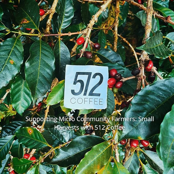 512 Coffee Ethiopia Yirgacheffe Light Roast Whole Bean – Single Origin Specialty Coffee with Tasting Notes of Raspberry Honey &amp Floral – Fresh Roasted for Filter Brewing