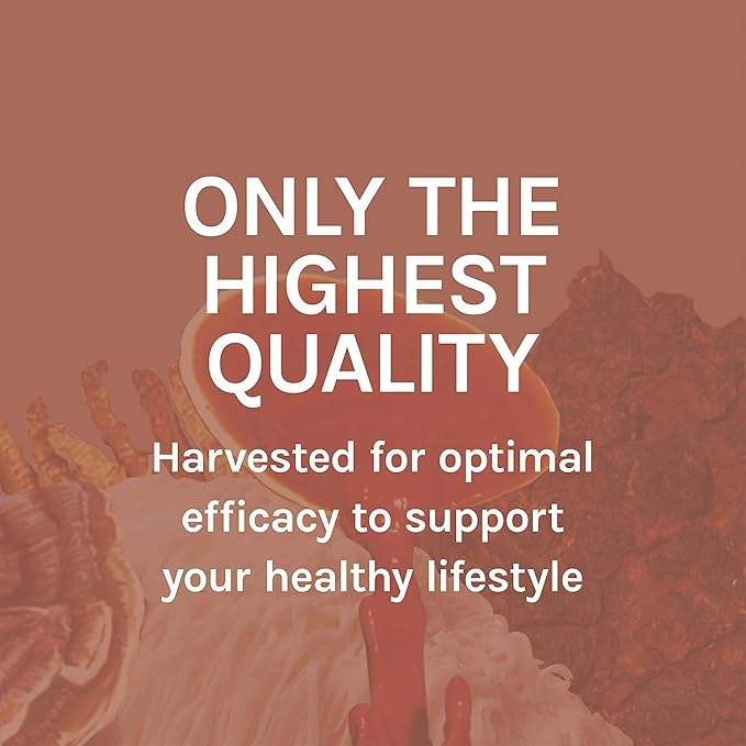 Host Defense MycoBotanicals Liver* Capsules - Liver Health Supplement with Milk Thistle &amp Turmeric Root - Mushroom Supplement with Turkey Tail Reishi &amp Chaga - 60 Capsules (30 Servings)*