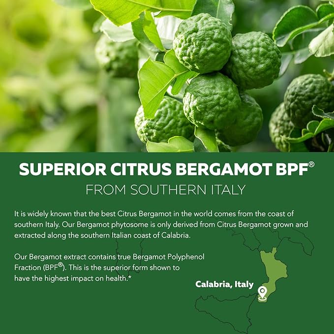 SoActive Bergamot: 2.5X More Effective Italian Citrus Bergamot Phytosome - Clinically Validated | Enhanced with Grape Seed Extract - Supports Cholesterol &amp Weight Management (60 Capsules)
