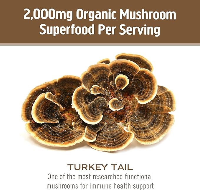 Om Mushroom Superfood Turkey Tail Mushroom Capsules Superfood Supplement 90 Count 30 Days Immune Support Polysacchrides Beta-Glucans Gut Health &amp Holistic Defense Mushroom Supplement