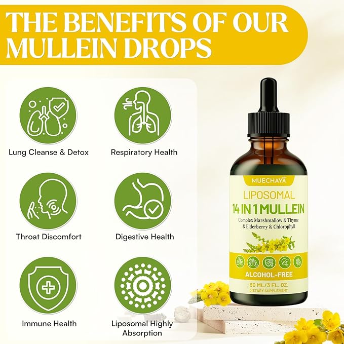 Mullein Drops For Lungs Liposomal 14 In 1 Mullein Leaf Extract For Lungs Mullein Drops with Elderberry Chlorophyll Thyme - for Lung Cleanse Detox Respiratory Immune Health 3 Fl 0Z Mint Flavor