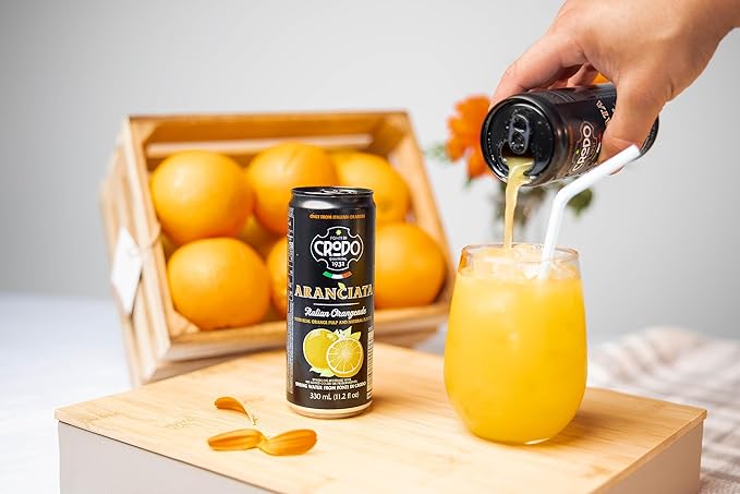 Fonti Di Crodo Aranciata Italian Sparkling Orangeade 11.2 Oz. Cans (Pack of 24)