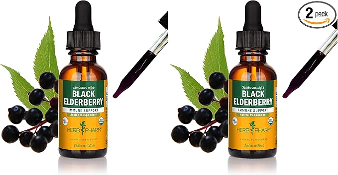 Herb Pharm Certified Organic Black Elderberry Liquid Extract for Immune System Support Organic Cane Alcohol 1 Oz (Pack of 2)