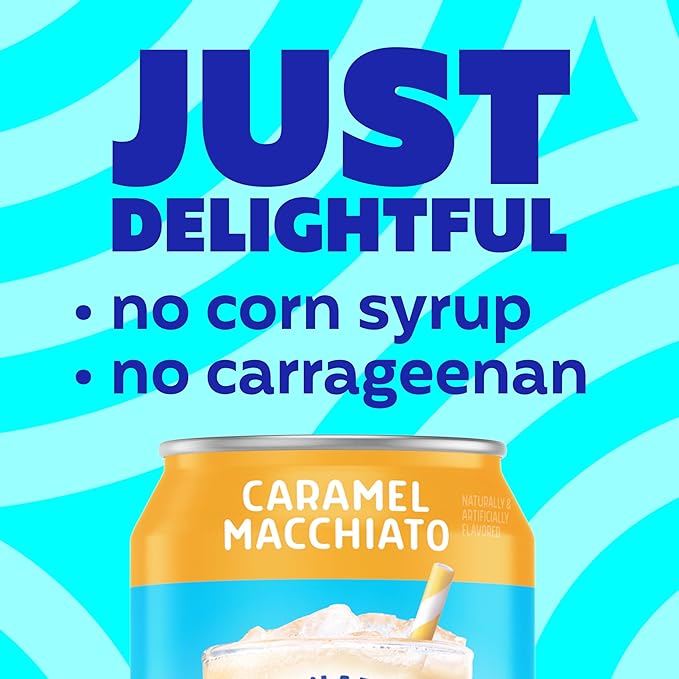 International Delight Iced Coffee Caramel Macchiato 15 Fl Oz (Pack of 12)
