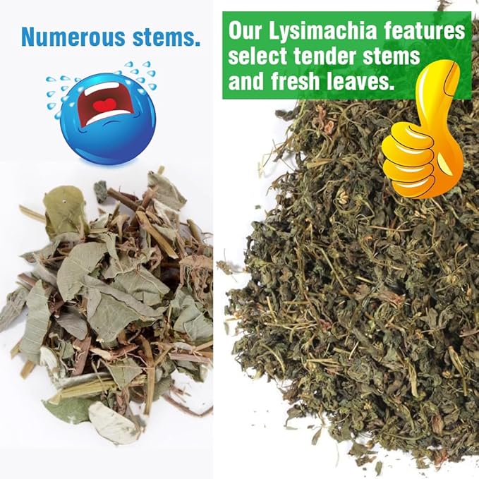 Gold Coin Grass Tea (Lysimachia christinae) - Herbal Blend for Kidney &amp Gallbladder Health | Dried Loose Leaf (3 Ounce (Pack of 1))
