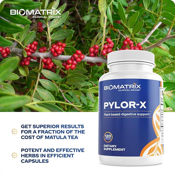 BioMatrix Pylor-X Gut Health Supplement – Mastic Gum Berberine Zinc Carnosine &amp Bismuth Salts for Gastric Support Digestive Comfort Stomach Lining Protection - (120 Capsules) 30-60 Day Supply