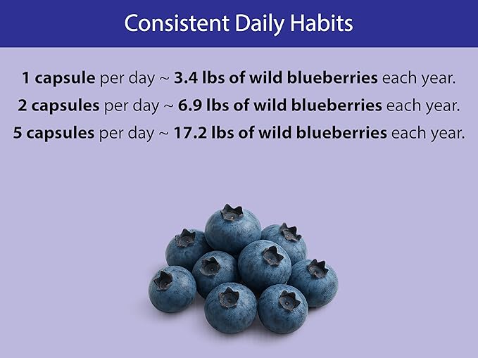 KOYAH - Organic Wild Blueberry Capsules – We Strive to Make the Least Processed Capsules on Earth. Freeze-Dried Whole Fruit – Lowbush Variety (Vaccinium angustifolium) - 600 mg - 60 Capsules