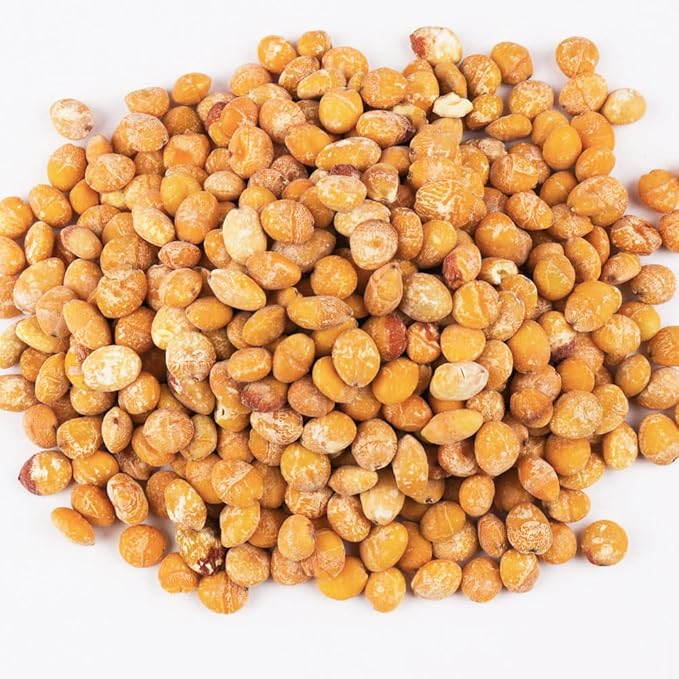 Organic Natural Pure Ginko Nut Dried Bulk Herbs -10.58 Ounce (300g)