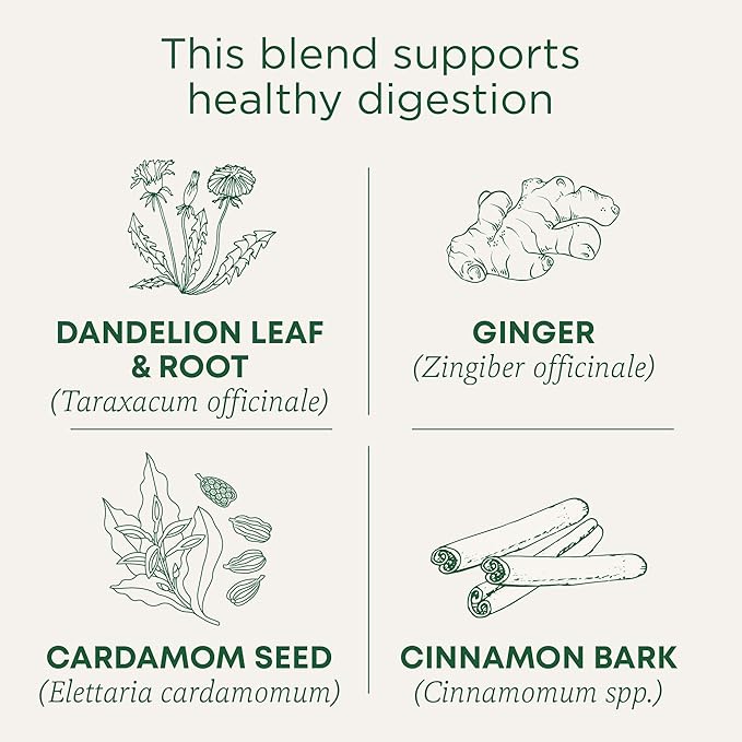 Traditional Medicinals Tea Organic Dandelion Chai Probiotic Supports Healthy Digestion 96 Tea Bags (6 Pack)