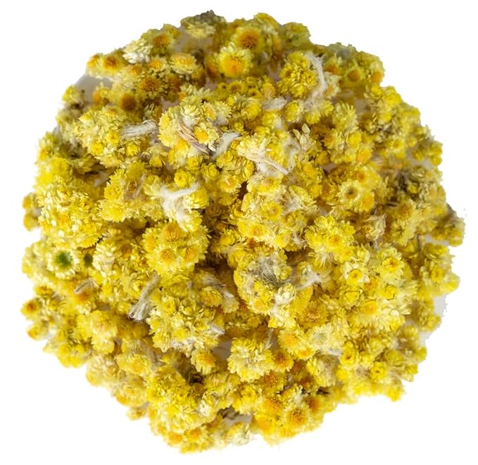 Immortelle (Helichrysum Pallasii) 2 OZ (57g) Dried Flowers with Stems Loose Herbal Tea | Wild-Harvested from the Mountains of Armenia | All-natural