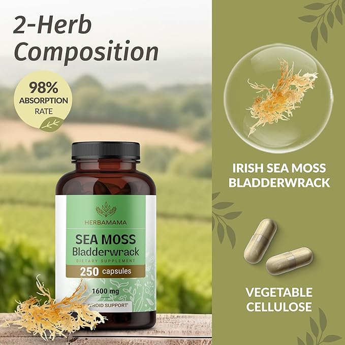 HERBAMAMA Irish Sea Moss Capsules - 1600mg Sea Moss and Bladderwrack for Immune Support - Vegan Non-GMO Immunity Supplement for Overall Support