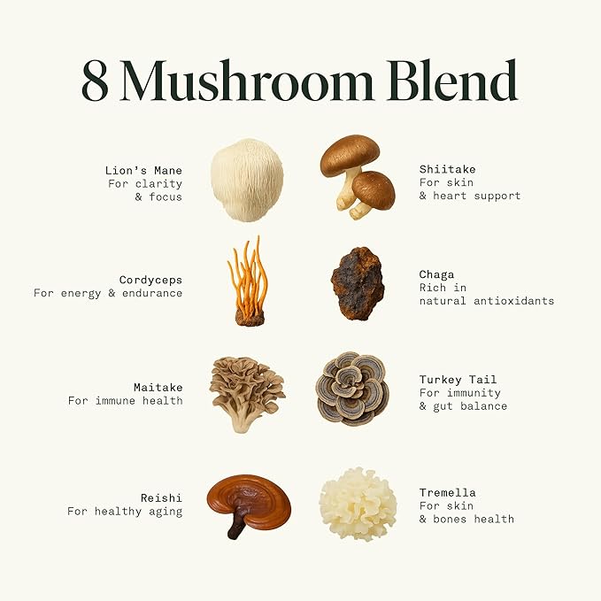 Fantastic Fungi Mushroom Extract - 8-in-1 Organic Complex Mushroom Supplement with Cordyceps Reishi Lion’s Mane Chaga Turkey Tail Shiitake Maitake &amp Tremella - Adaptogen Liquid Tincture 1 f