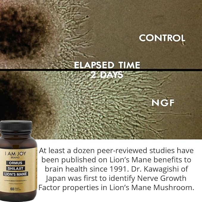 I Am Joy co. Ormus Shilajit Lion's Mane - Ultimate Brain Power! Monoatomic 24k Gold - The Only Blend of Its Kind for Energy Memory &amp Focus - 60 Vegan Capsules
