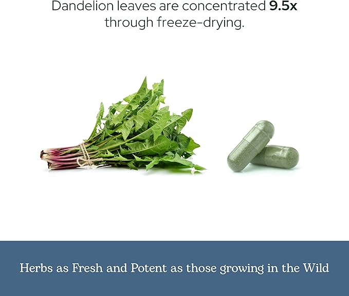 Eclectic Herb - Raw Freeze-Dried Dandelion Leaf Capsules | Supports Cleansing Digestive Function &amp Heart Health | Natural Herbal Supplement | Organic Non-GMO Vegan Whole Herb (90 CT | 200 mg)