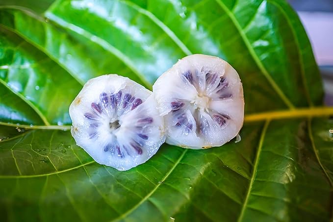 Wailua River Noni Juice (4)