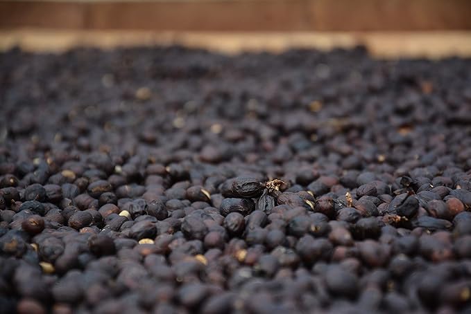 100% Arabica Colombian Medium PremiumCoffee Beans (5)