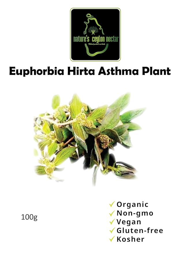 100g Euphorbia Hirta Asthma Plant Cut And Shifted - 100% Pure Natural Tea - Pure &amp Natural Asthma Plant Cultivated From Sri Lanka And Gluten Free- 100% Pure Premium Quality for Brewing Herbal Te