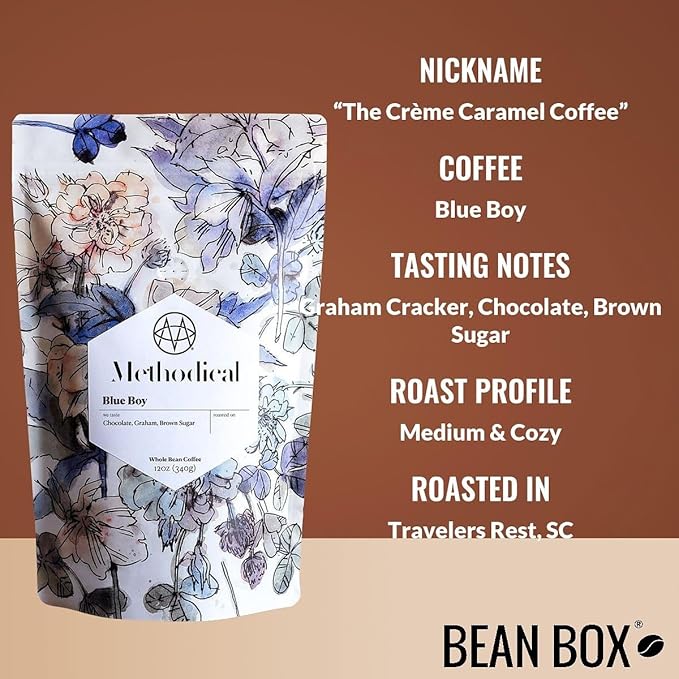 Bean Box Sampler - Roasted by Methodical Roasting 3-Pack Whole Bean Coffee Gourmet Coffee