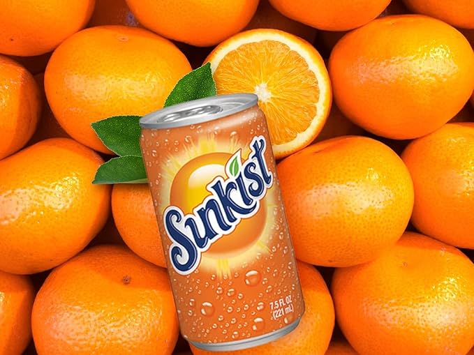 Mini Soda Cans Orange Flavors | (Pack of 20) | Flavor Soda Variety Pack | Soft Drink Assortment of Beverages | The Beverage Care Package of Mix Pop | Home &amp Office Fridge Restock Kit | 7.5 oz. Can
