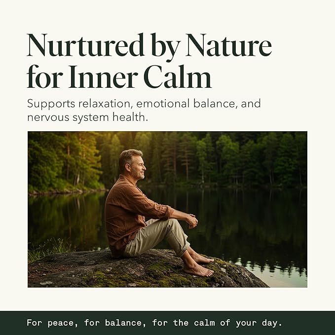 Fantastic Fungi Reishi Mushroom Extract Drops - Chill Elixir Mushroom Tincture with Holy Basil Shiitake &amp Vervain - 4-in-1 Organic Mood Support Supplement for Relaxation &amp Calm 30 Servings