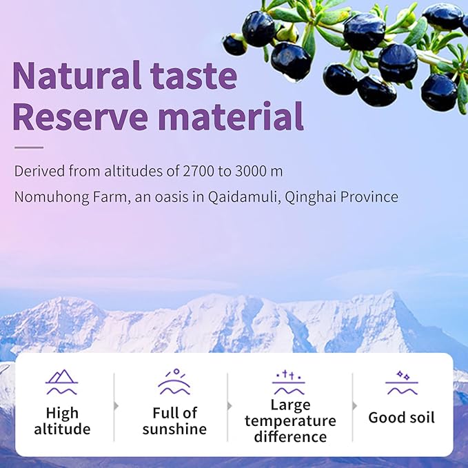 Black Goji Berries Fruit Puree Raw Liquid Drink (15ml*20 PCS) 100% Pure Black Wolfberry Juice Undiluted No Sugar Added No Additives 黑枸杞原浆